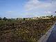 Lot 8 Jasmin Drive, Victor Harbor SA 5211