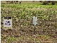 Lot 52 Jasmin Drive, Victor Harbor SA 5211