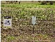 Lot 52 Jasmin Drive, Victor Harbor SA 5211