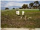 19 Singh Court, Victor Harbor SA 5211