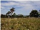 Lot 67 Ozone Street, Victor Harbor SA 5211