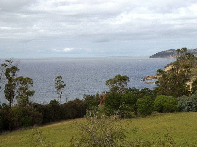 83 Suncoast Drive, Blackmans Bay TAS 7052