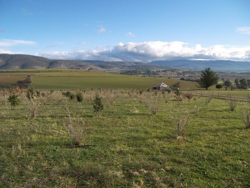 23 Marshalls Lane,  Maquarie Plains, New Norfolk TAS 7140