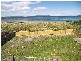19 Petrel Street, Primrose Sands TAS 7173