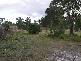 28 Erle Street, Carlton River TAS 7173