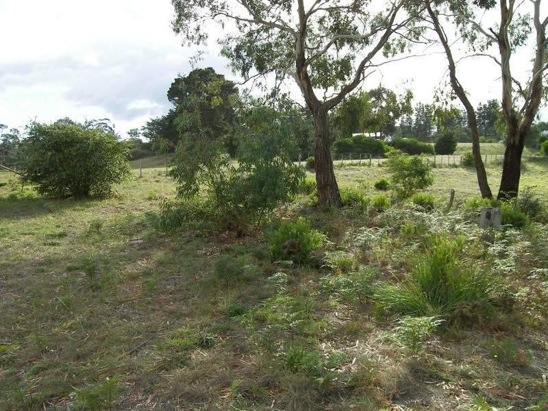28 Erle Street, Carlton River TAS 7173