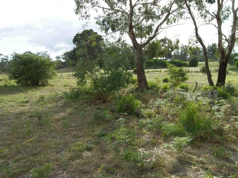 28 Erle Street, Carlton River TAS 7173
