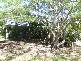 14 Wagtail Drive, Peregian Beach QLD 4573