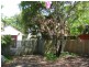 374 David Low Way, Peregian Beach QLD 4573