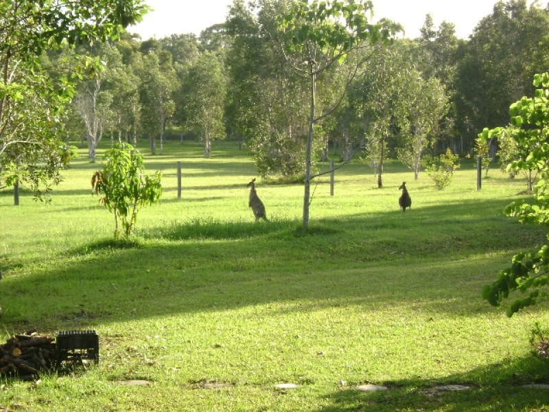35 Lakeside Drive, Weyba Downs QLD 4562
