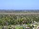Lot 51 Leichhardt Drive, Yandina Creek QLD 4561