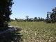60 The Avenue, Peregian Springs QLD 4573
