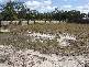 98 The Avenue, Peregian Springs QLD 4573
