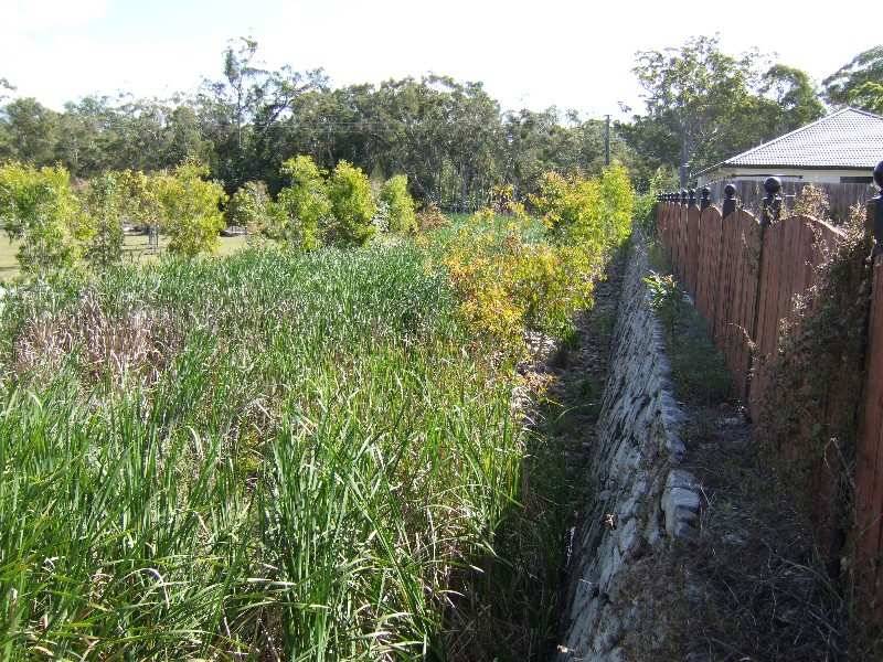 98 The Avenue, Peregian Springs QLD 4573