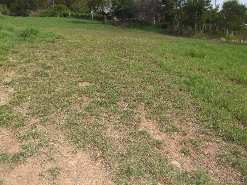 10  Hideaway Court, Yandina Creek QLD 4561