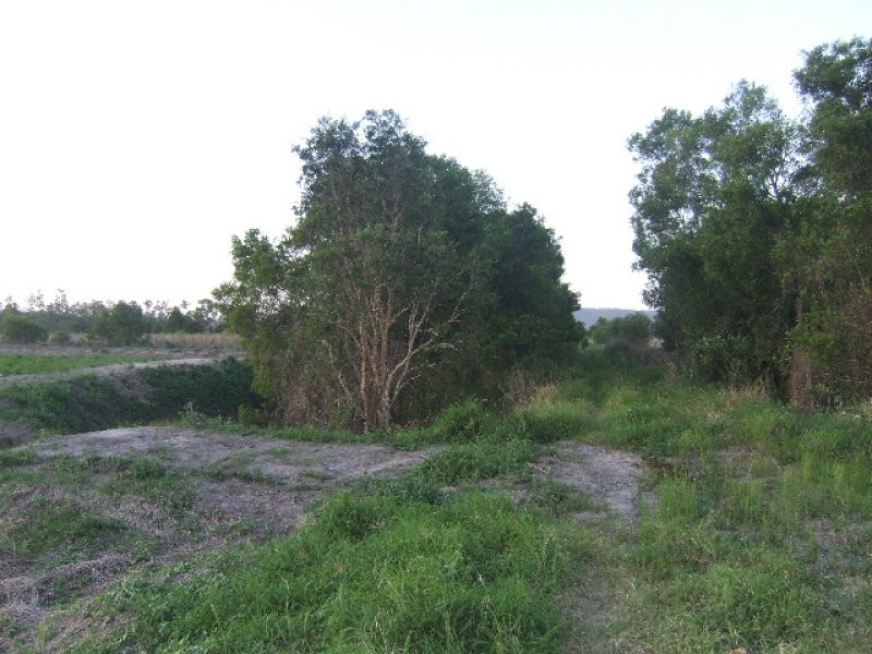 Yandina Creek QLD 4561