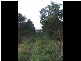 Yandina Creek QLD 4561