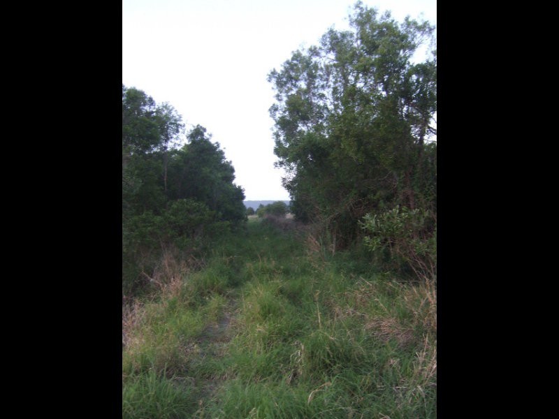 Yandina Creek QLD 4561