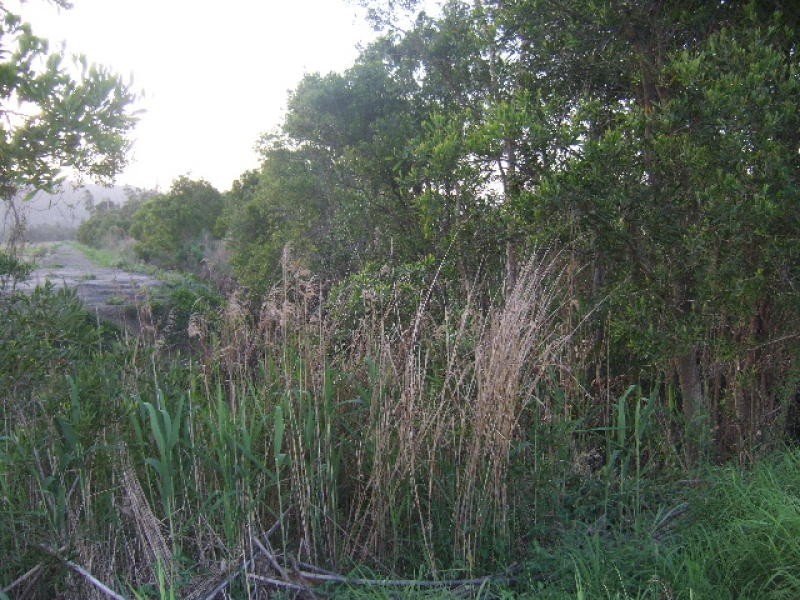 Yandina Creek QLD 4561