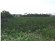 Yandina Creek QLD 4561