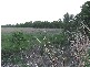 Yandina Creek QLD 4561