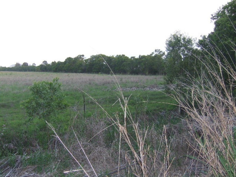 Yandina Creek QLD 4561