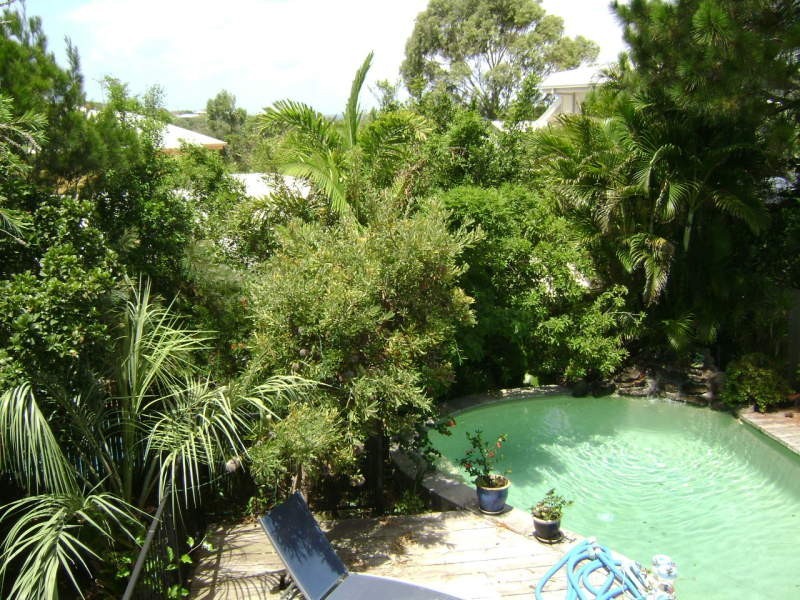 54 Podargus Parade, Peregian Beach QLD 4573