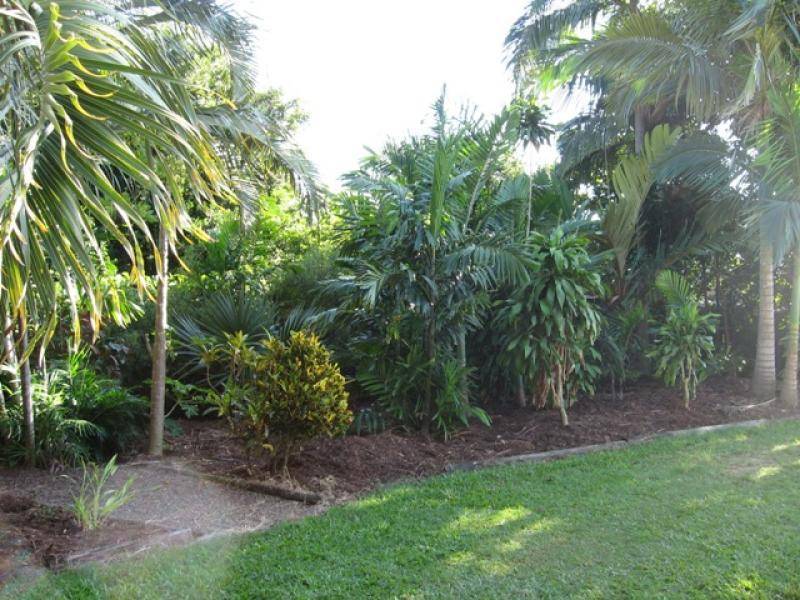 44 Davey Street, Glenella QLD 4740