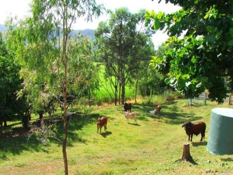 390 Cape Hillsborough Road, Ball Bay QLD 4741