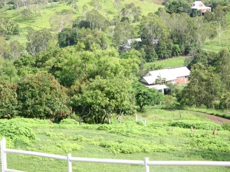 159 Gardiners Road, Habana QLD 4740