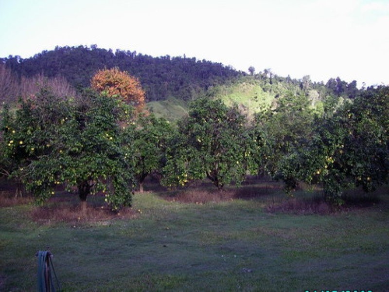 500 Gorge Road, Finch Hatton QLD 4756