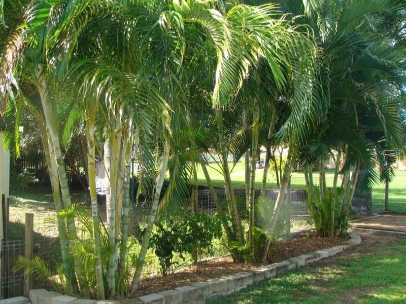 12 Denman Ave, Shoal Point QLD 4750