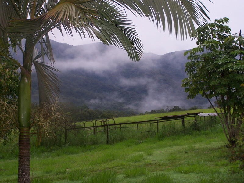 498 Gorge Road, Finch Hatton QLD 4756