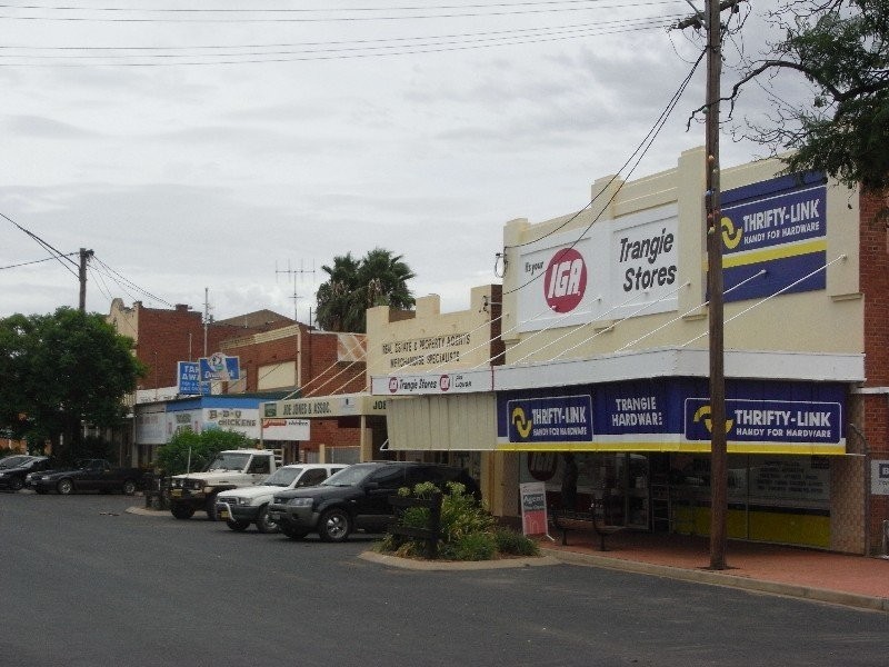 27 Dandaloo Street, Trangie NSW 2823