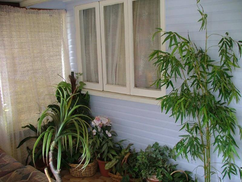 3 Nolan St, Crows Nest QLD 4355