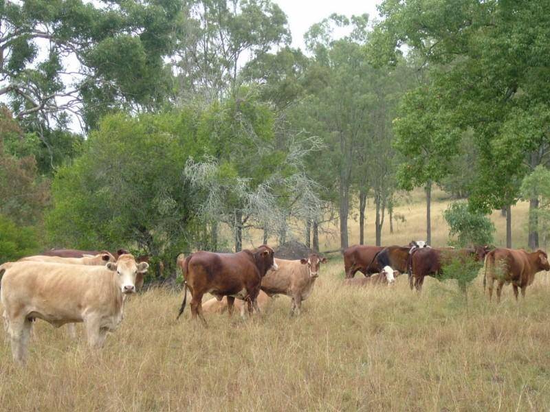 Cooyar QLD 4402