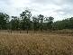 Cooyar QLD 4402