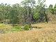 Cooyar QLD 4402