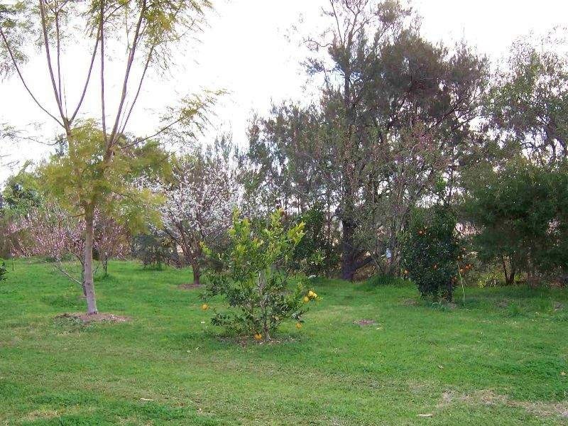 14 Hillview Station Road, Hillview QLD 4285