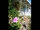 11 Mitchell Street, Beaudesert QLD 4285