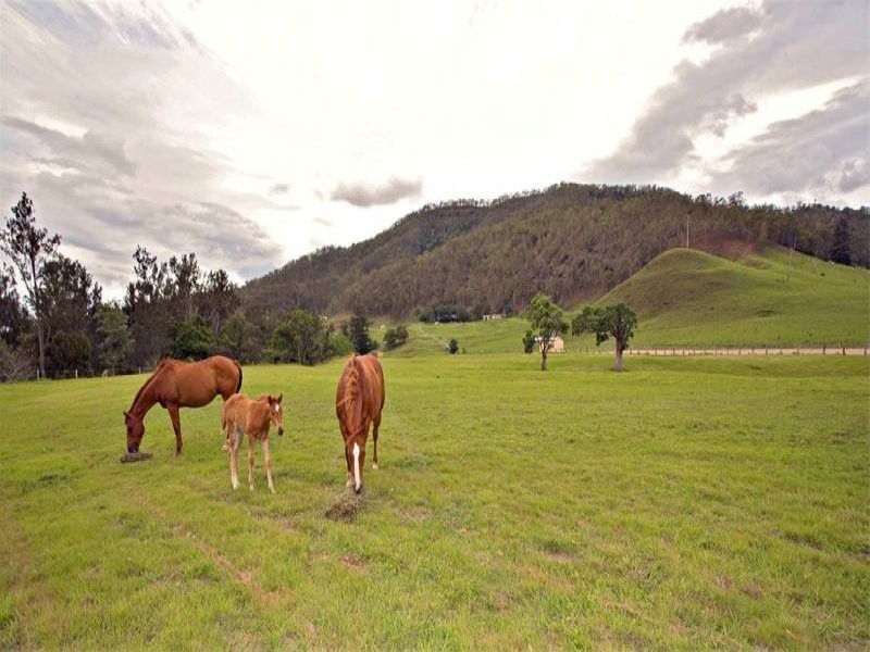 Lot 6 Sarabah Road, Canungra QLD 4275