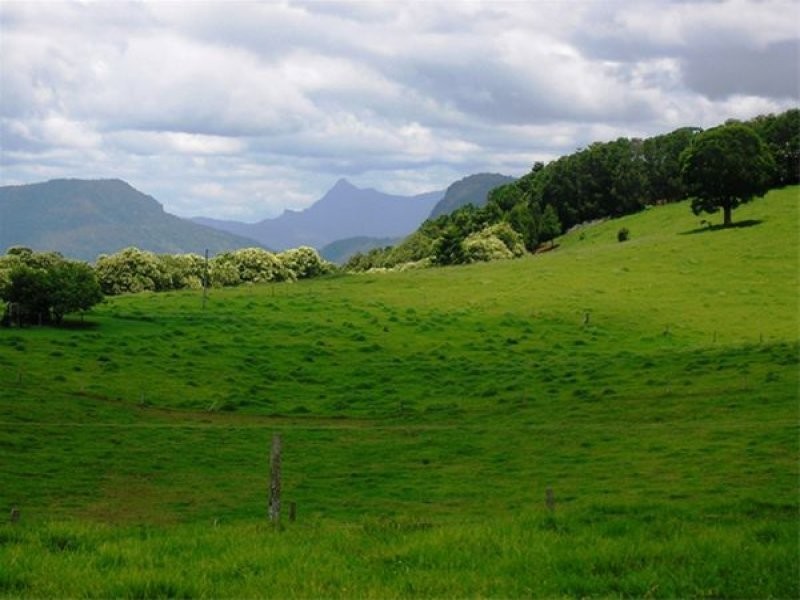 1698 Beechmont Road, Beechmont QLD 4211