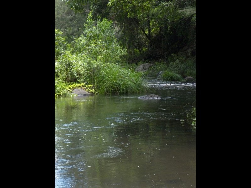 3196 Christmas Creek Road, Lamington, Beaudesert QLD 4285