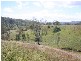 Lot 8 Philp Mountain Road, Rathdowney QLD 4287