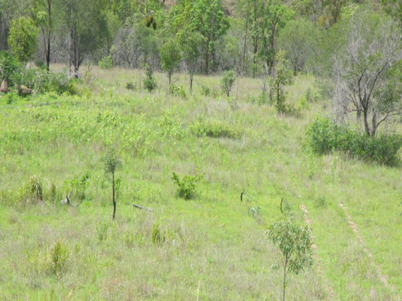 132 Merton Close, Kooralbyn QLD 4285