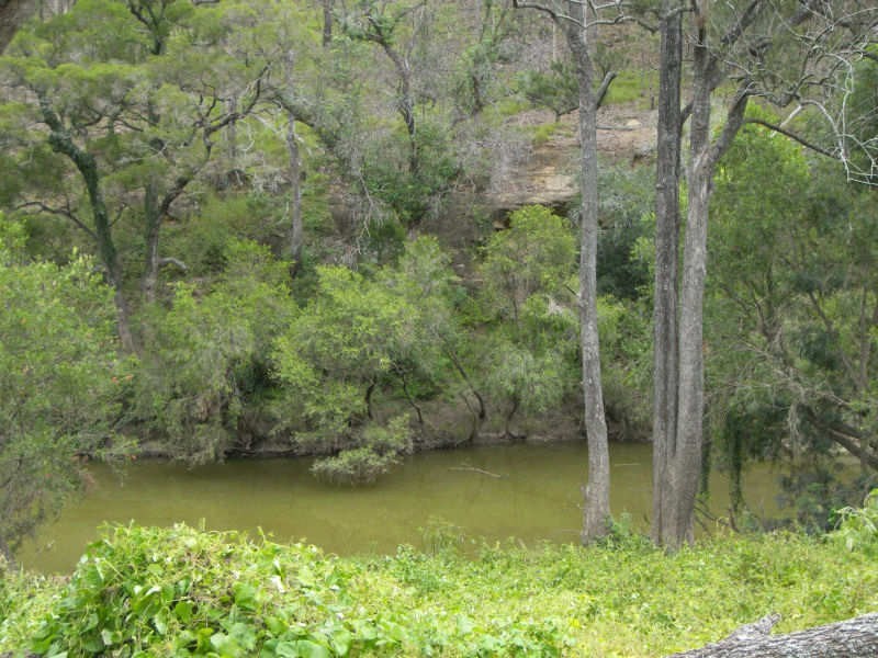 8 Forest Home Road Rathdowney, Beaudesert QLD 4285