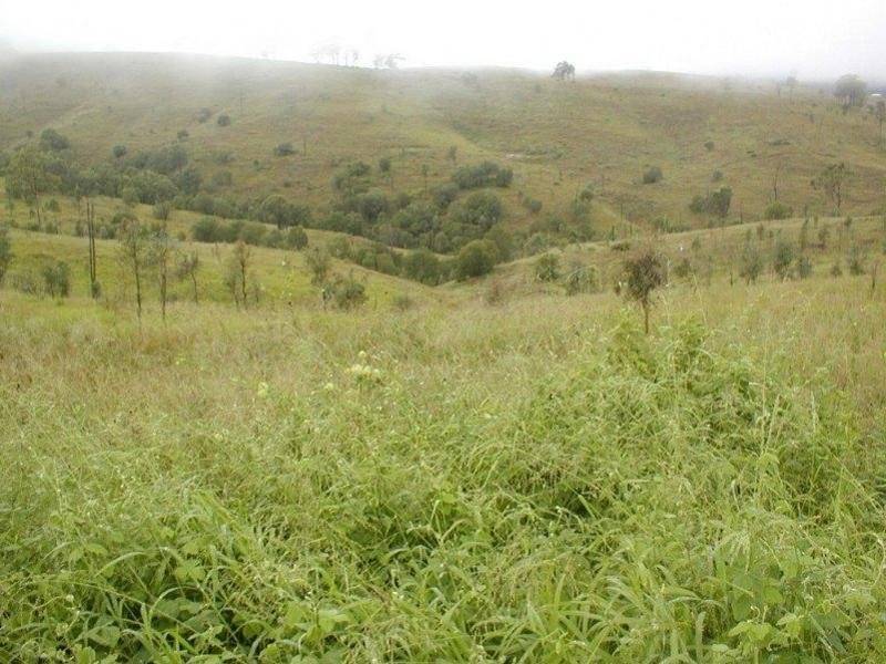 176 Merton Close, Kooralbyn QLD 4285