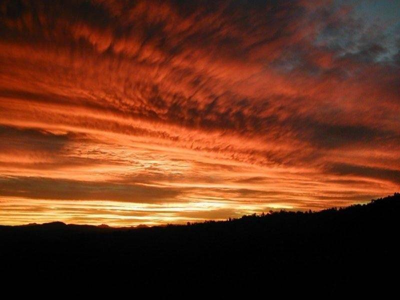 176 Merton Close, Kooralbyn QLD 4285