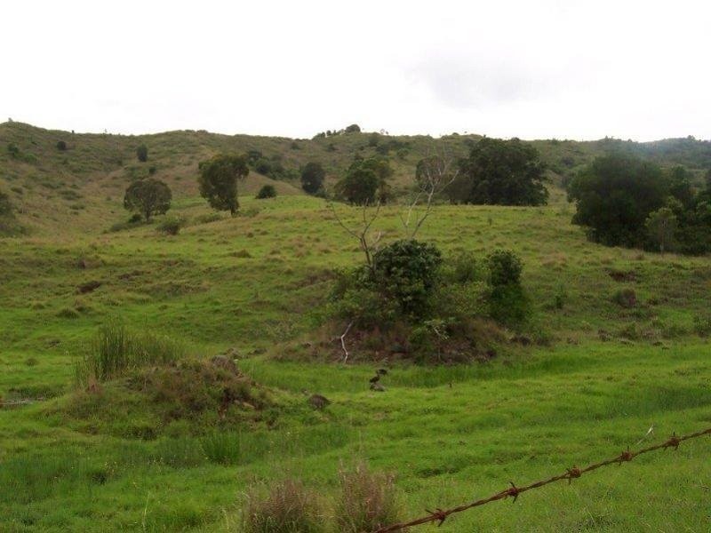 Lot 16 Little Flying Fox Road, Canungra QLD 4275