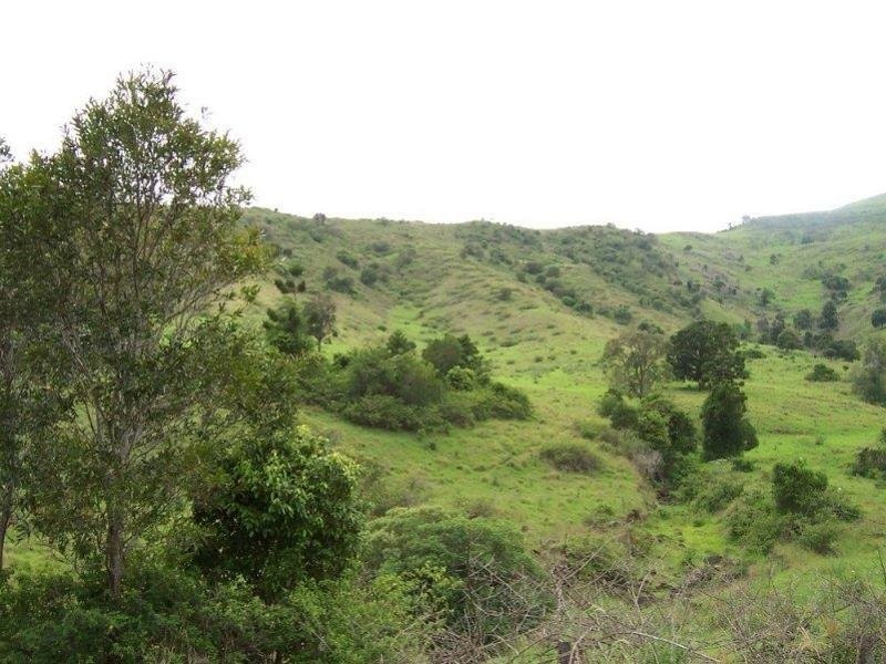 Lot 16 Little Flying Fox Road, Canungra QLD 4275